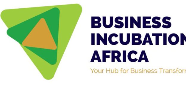 Business Incubation Africa