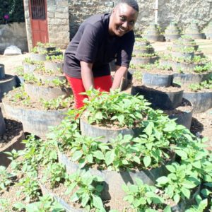 Storey garden/kitchen garden