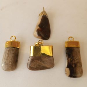 Petrified Wood Gemstone Pendant