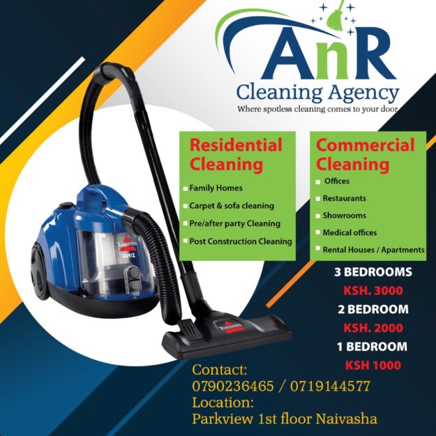 AngelaReen cleaning agency
