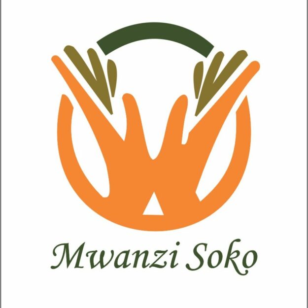 Mwanzi Soko